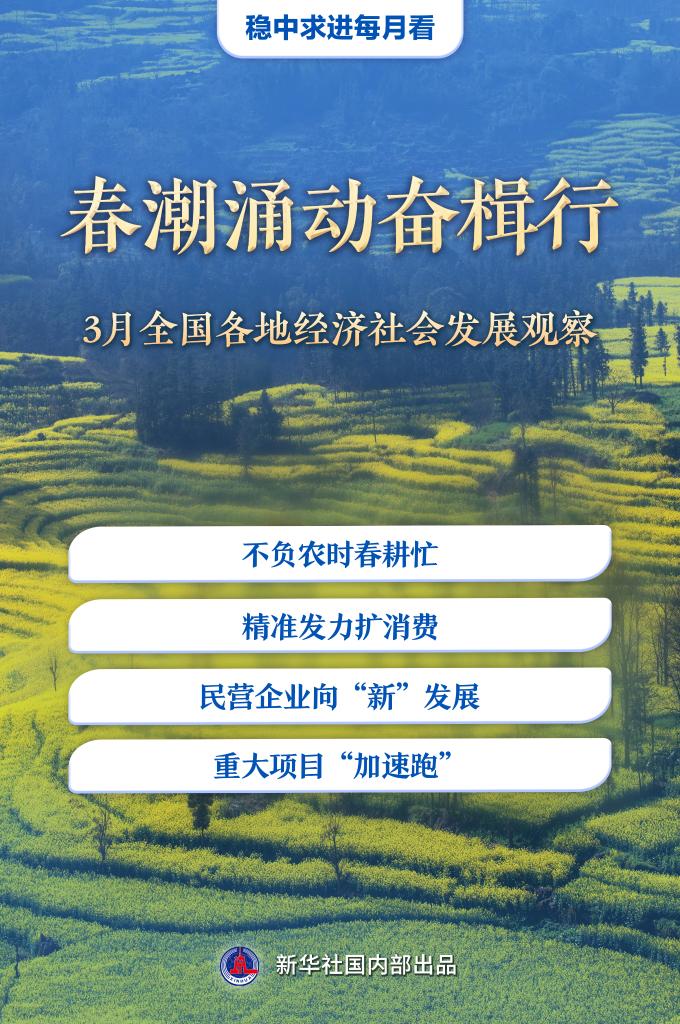 稳中求进每月看丨春潮涌动奋楫行——3月全国各地经济社会发展观察.jpeg